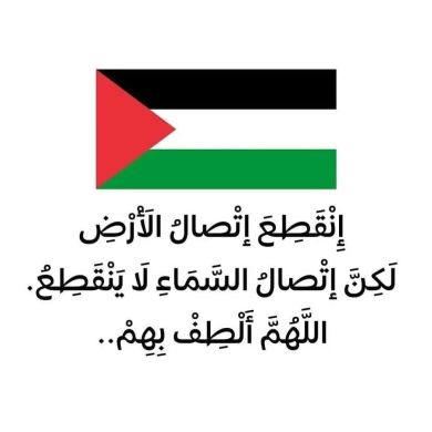 bedir Profile Picture