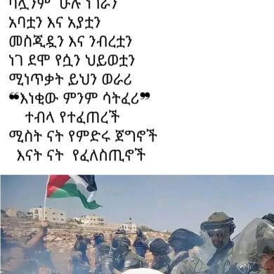 Khalid Mustefa Profile Picture