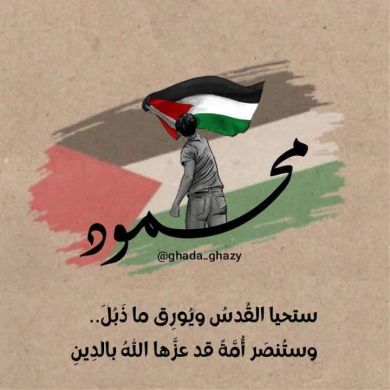 محمود السعيطي