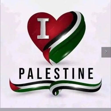 habib kumel Profile Picture