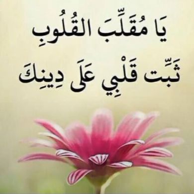 የረሱል ወዳጅ የኡሚ ናፋቃ Profile Picture