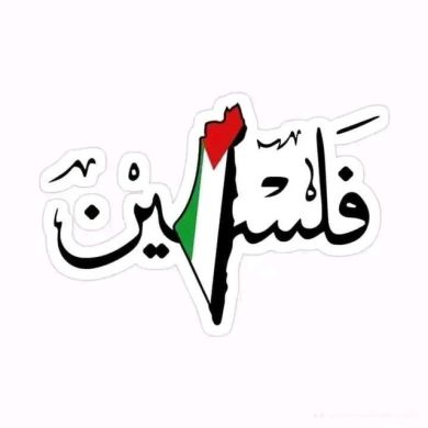 ummakhalid Profile Picture