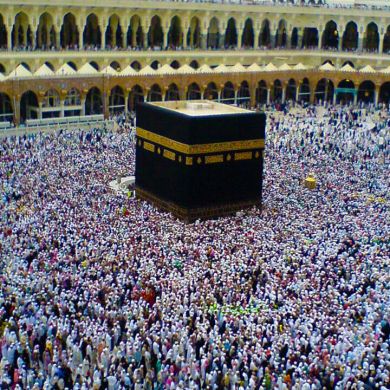 rina zekaria Profile Picture