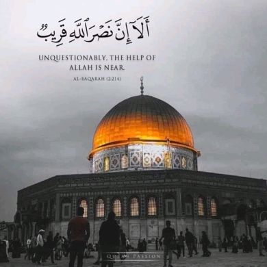 abdjelil ahmed Profile Picture