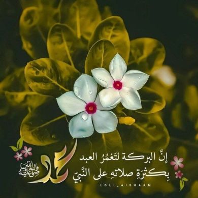 hibaa hussien Profile Picture