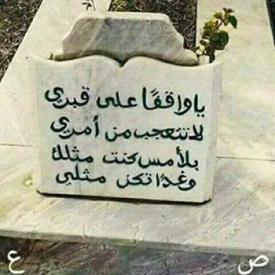 nesrelah dirba Profile Picture