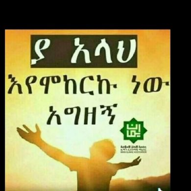 Abdu Reshid Profile Picture