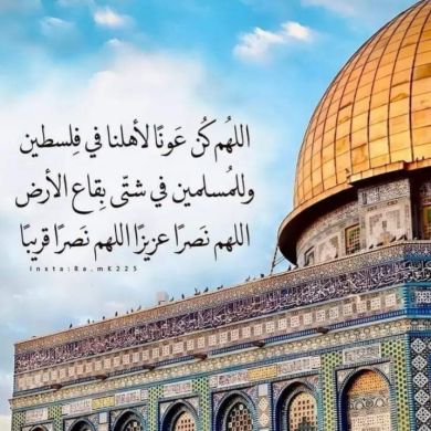 Mohamed Yahya Profile Picture