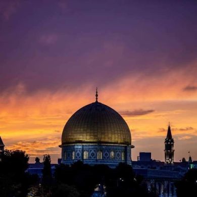 كريم بن مسعد Profile Picture