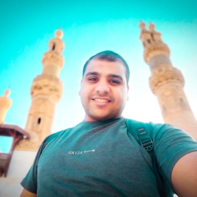 محمد الخلفاوي