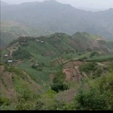 Abubeker Sanni profile picture