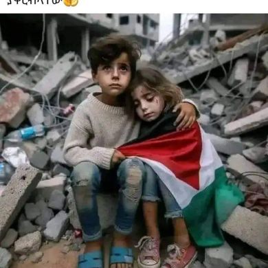 Mehammed Sani Profile Picture