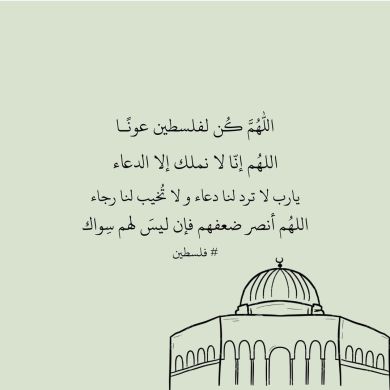 Abdulmejid Hashem  Profile Picture