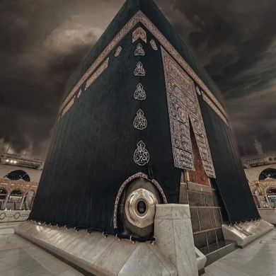 Nejat Mulugeta Profile Picture