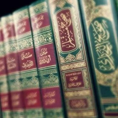 أبوبكر الأبلج