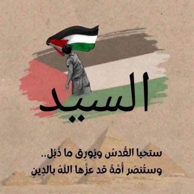 السيد بن عادل الشافعي Profile Picture