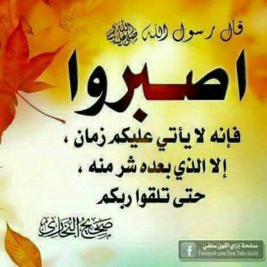 أحمد محمد Profile Picture