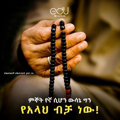 Kedir Mossa Profile Picture