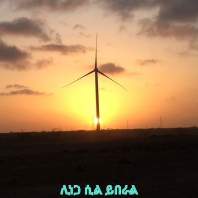 Endris Gezu Profile Picture