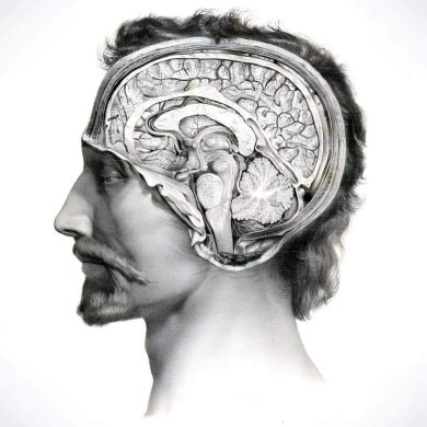 MuhammadYounisMaghawry Profile Picture