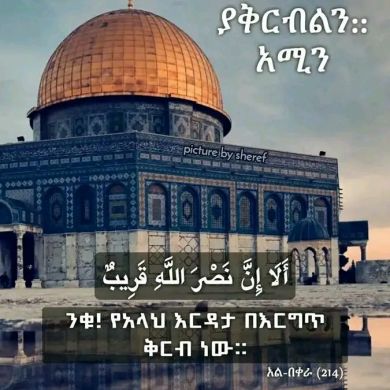 umu hajera Profile Picture