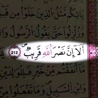 ahmed sleman Profile Picture