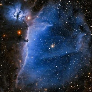 محمدنور مختار Profile Picture