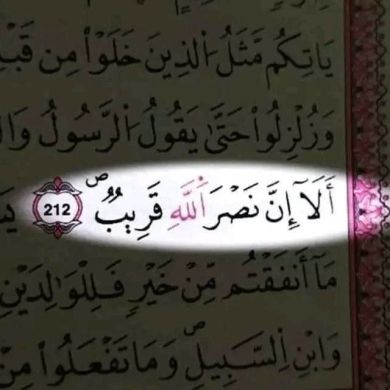 Murad Nuredin Profile Picture