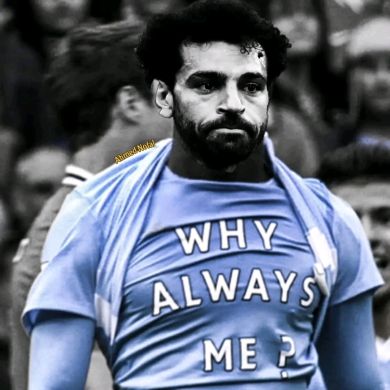 Muhamed El shafei Profile Picture