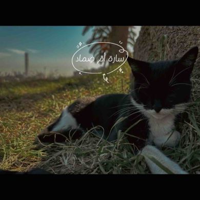 أم عائش Profile Picture