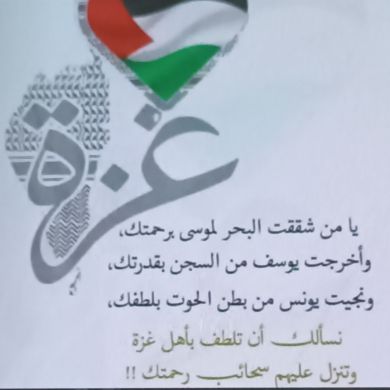 elham hussen Profile Picture