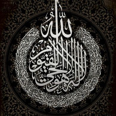 محمد المحمد Profile Picture