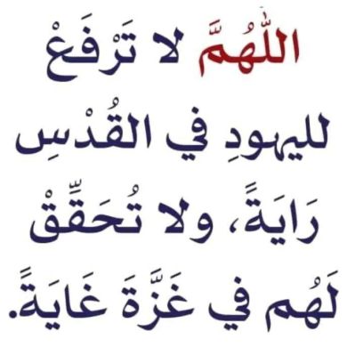 abumuhammed ibnahmed