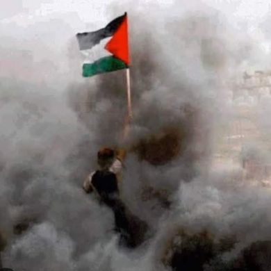 فاطمة الطبلاوي Profile Picture