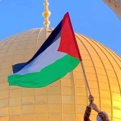 samar omar Profile Picture