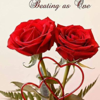 K75mha77 A34 Profile Picture