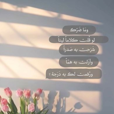 أم عدي Profile Picture