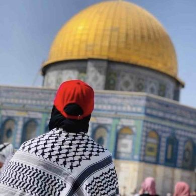 ENAS AHMED Profile Picture