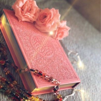 فاطمة صديق Profile Picture