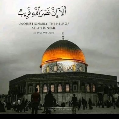 محمد احمد Profile Picture