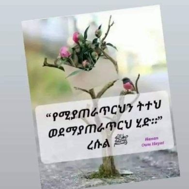 Umu Nesredn Profile Picture