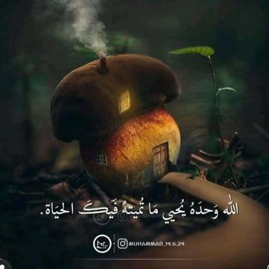 Mohammed Alemu Profile Picture