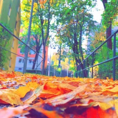 Faisal Kh Profile Picture