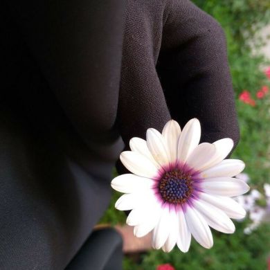 Öm Tämïm Profile Picture