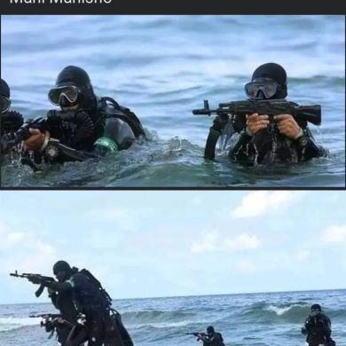 Sani Yasin Profile Picture