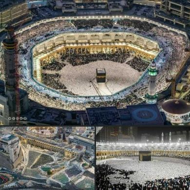 Mohammed Kemal Profile Picture