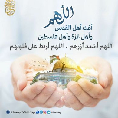 محمد الشحات