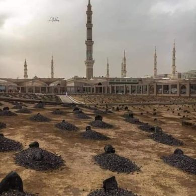 فاتن شعب Profile Picture