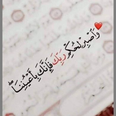 العلمي الزيتوني Profile Picture