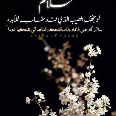 Hend Hamdy profile picture